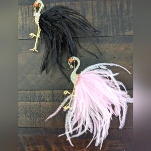 Gorgeous Flamingo with Feathers